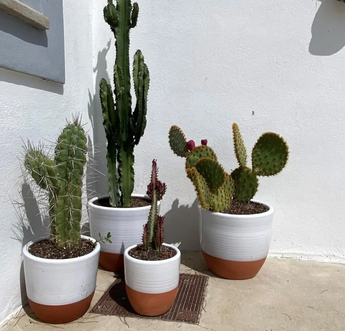 Hotel Lodge Sainte Helene Adult Only Saintes-Maries-de-La-Mer